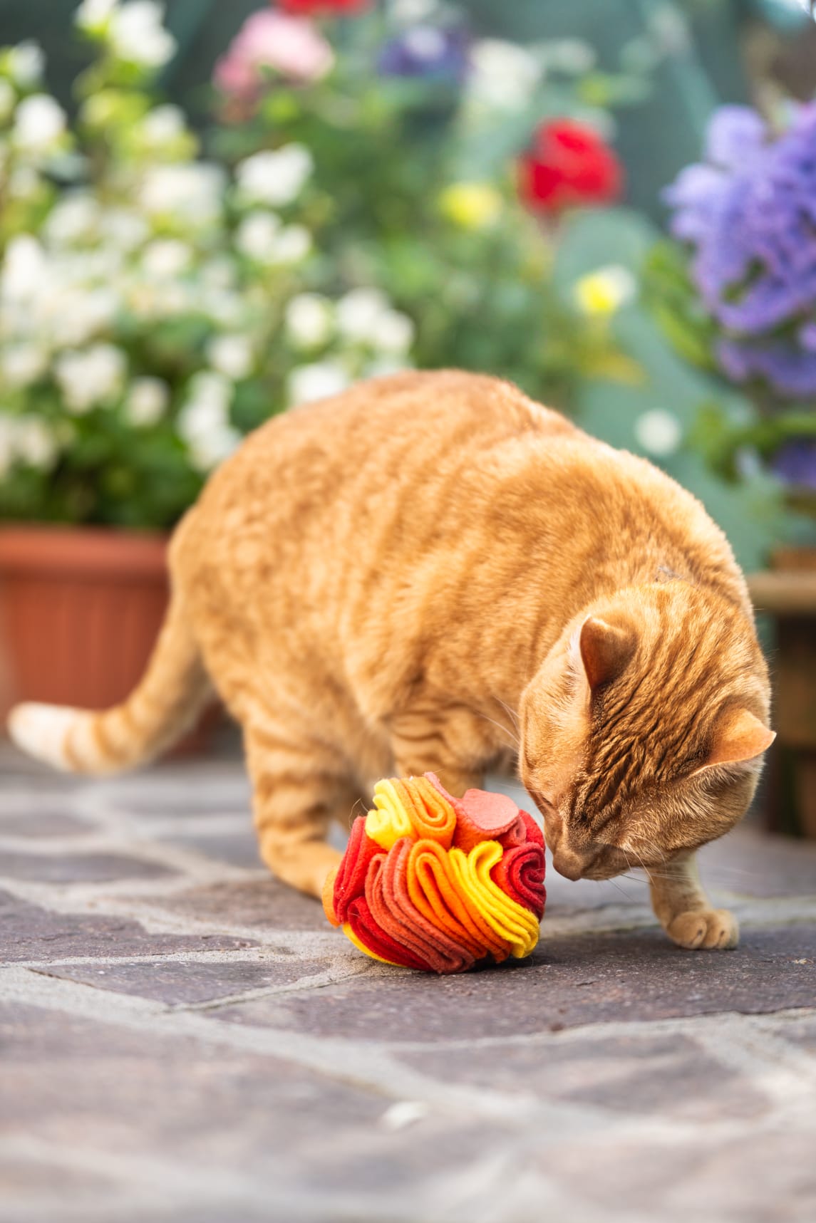 Snuffle Ball Gatti