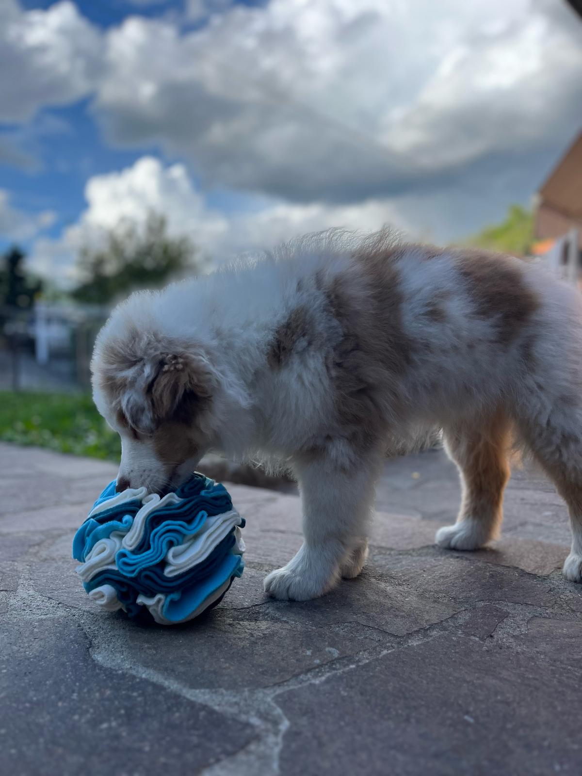 Snuffle Ball