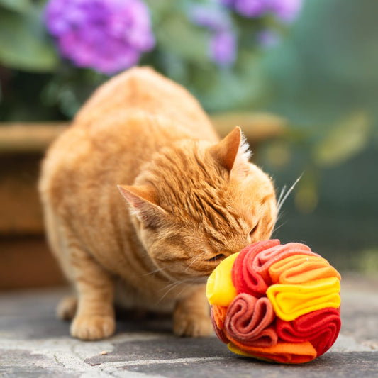 Snuffle Ball Gatti