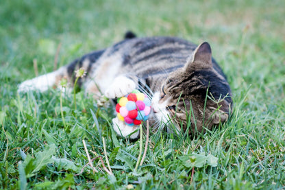 Pallina con Pon Pon Multicolore e Sonaglio per Gatti