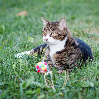 Pallina con Pon Pon Multicolore e Sonaglio per Gatti