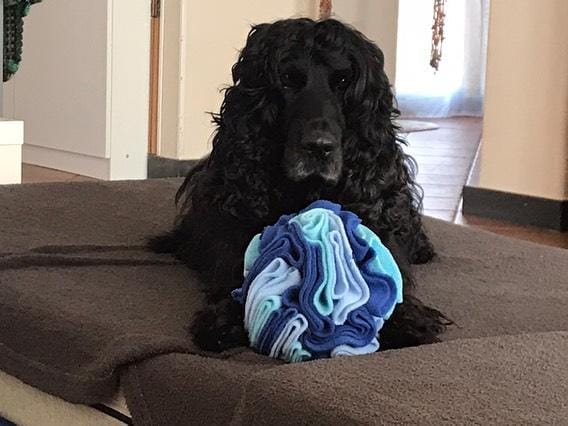 Snuffle Ball