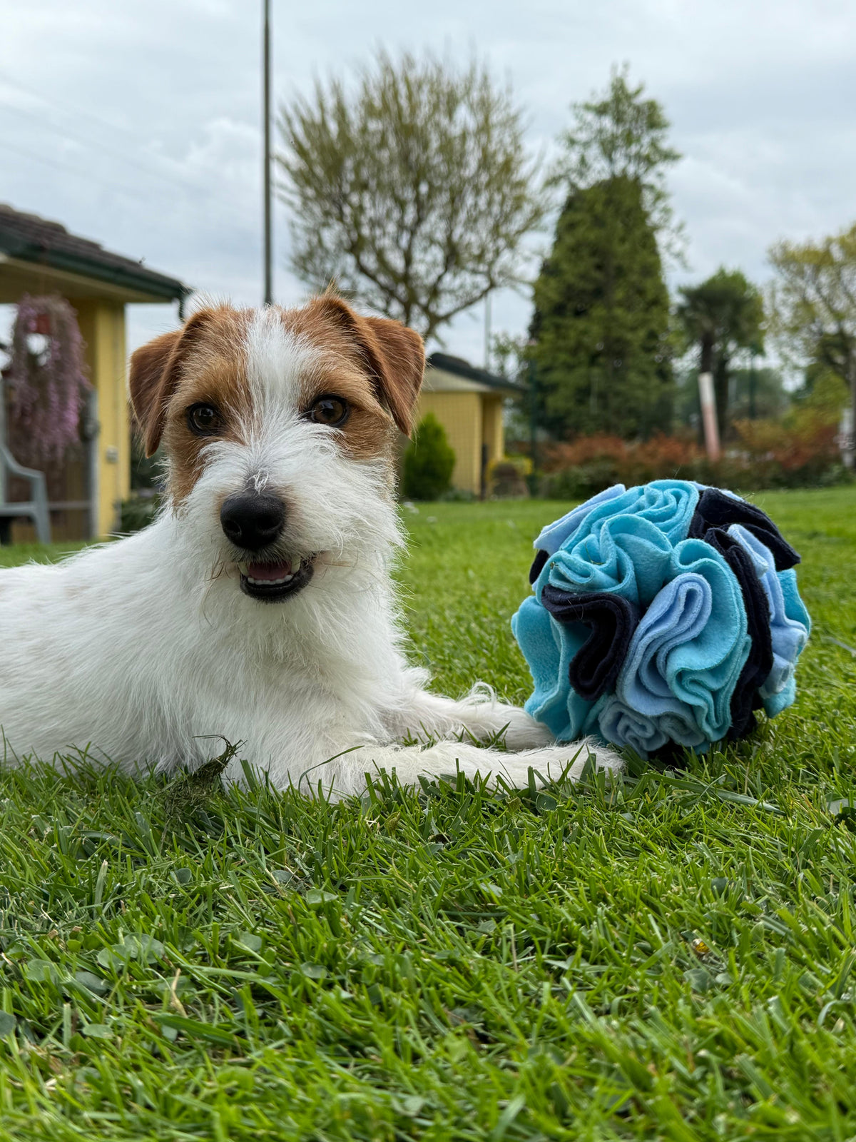 Snuffle Ball