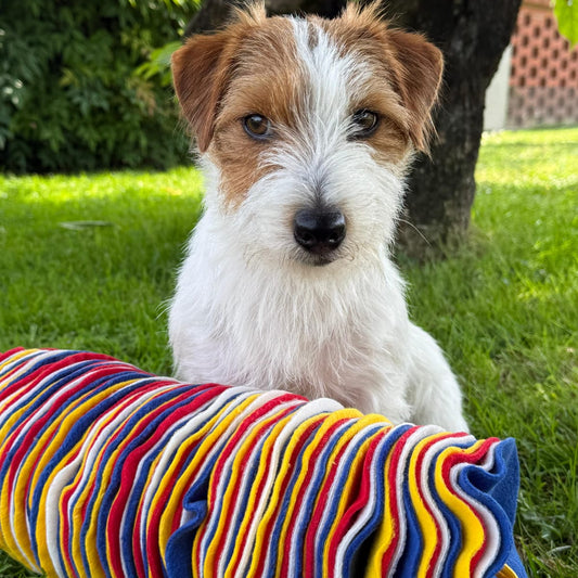 Sniffone