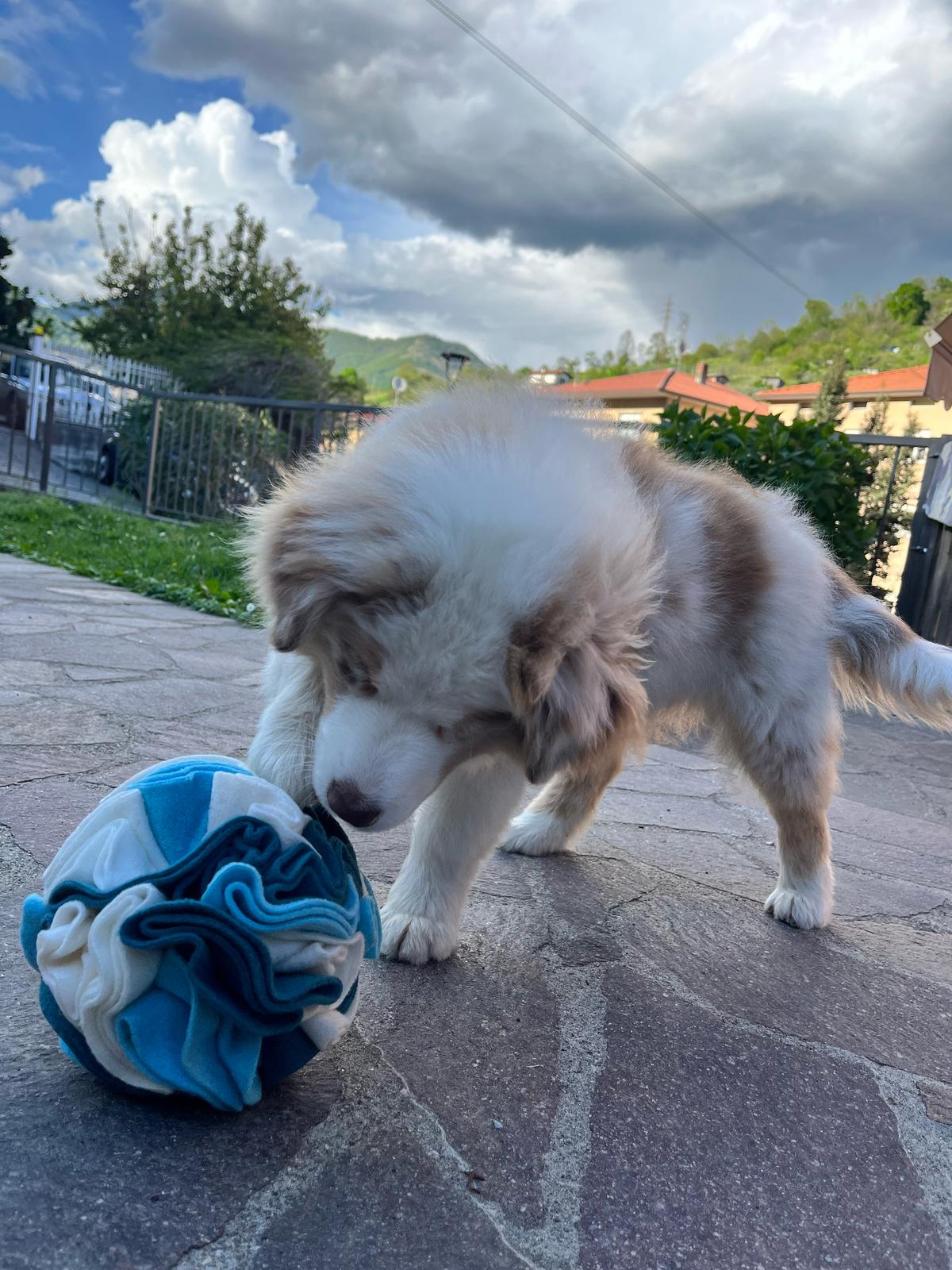 Snuffle Ball
