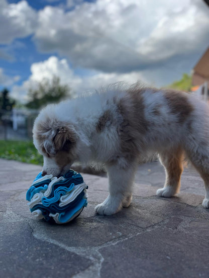 Snuffle Ball