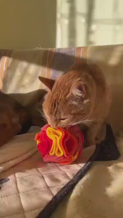 Snuffle Ball Gatti