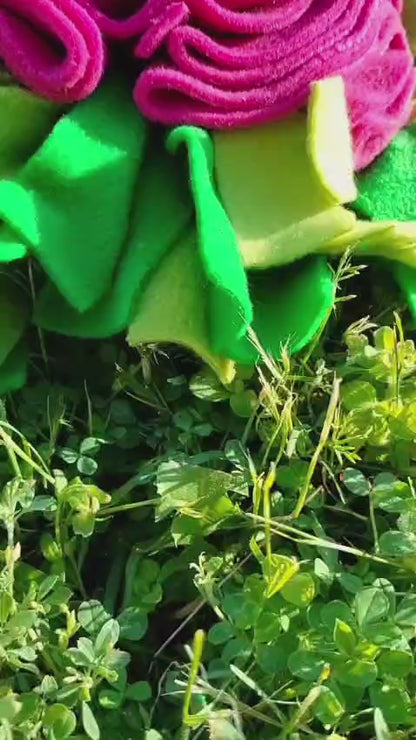 Fiore Special